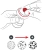 infografika_bistro_139.webp