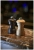pg-800-1_a2_1.webp