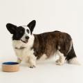 c3d1bf167225a879f4d0fa7c45a53780.jpg
