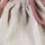 2f6ef0a5ba75c7f01fc1a1e057a2c944.jpg
