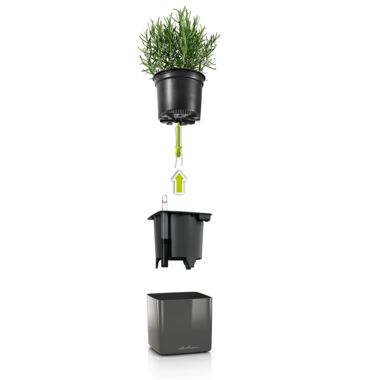 a76d55b279bcce745e32b9a992be887e