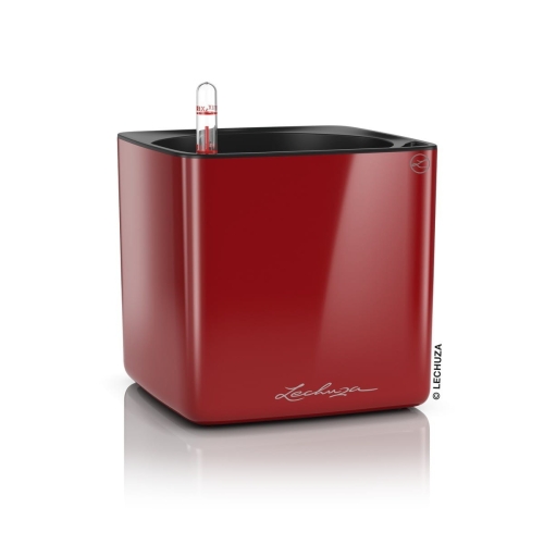 d16a266ccc0ed6be5223c72906fdf307