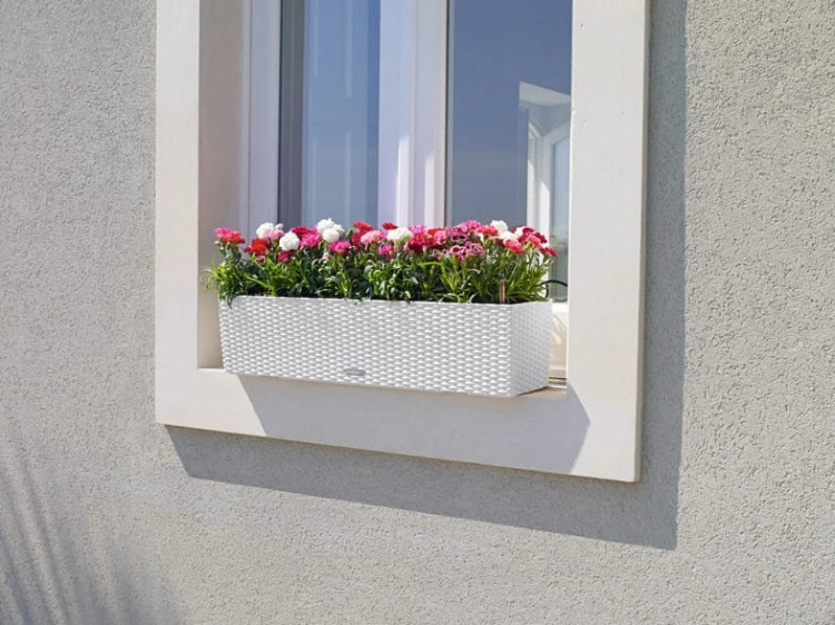 f41181bef0c100a4e27eb1de1fabf241