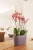 bfc656a6058e11dec80aaad9cf9aaf46