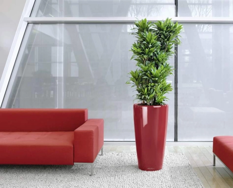 6a98754e6ef1171768e99103da28108a
