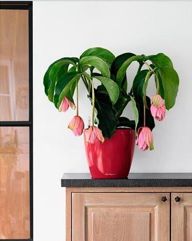 ea7c4041ddb4c958c0f43b0c135b2e78