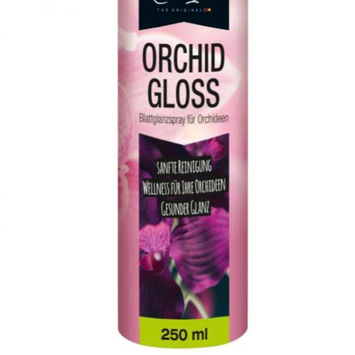 orchid gloss.jpg
