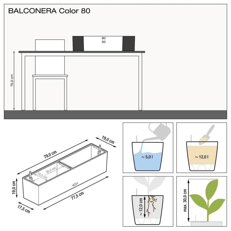 BALCONERA Color 80.jpg