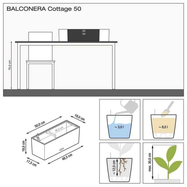 cottage1.jpg