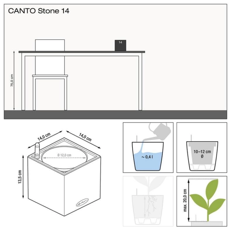 canto2.jpg
