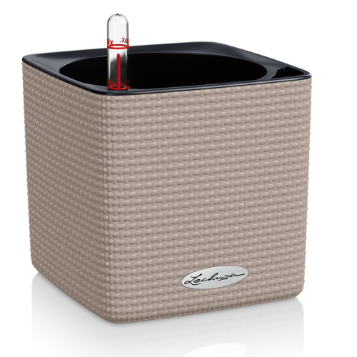 CUBE Color 14 sand brown.png