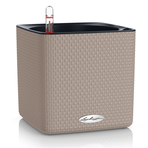 CUBE Color 16 sand brown.png