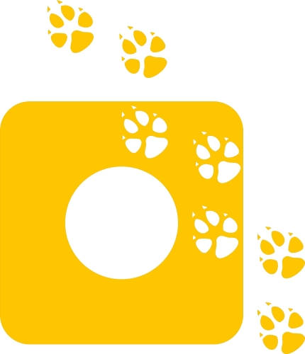 8b36f92e4034b033e6390d75e5f8