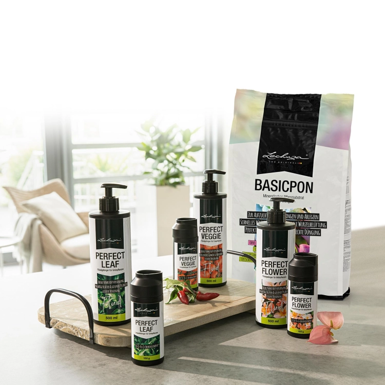 LECHUZA BASICPON 6 liter.jpg