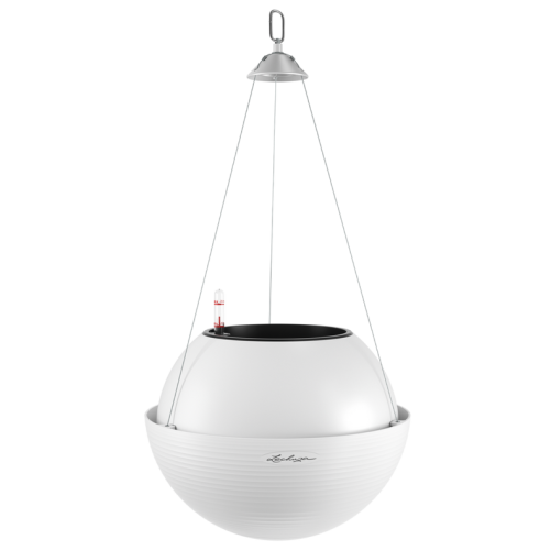 BOLA Color 32 white.png