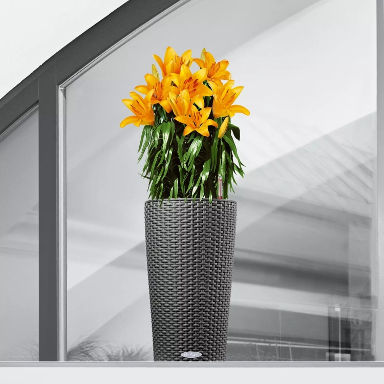 CILINDRO Cottage 23 white (5).webp