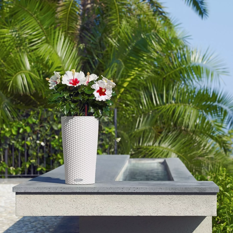 CILINDRO Cottage 23 white (4).webp