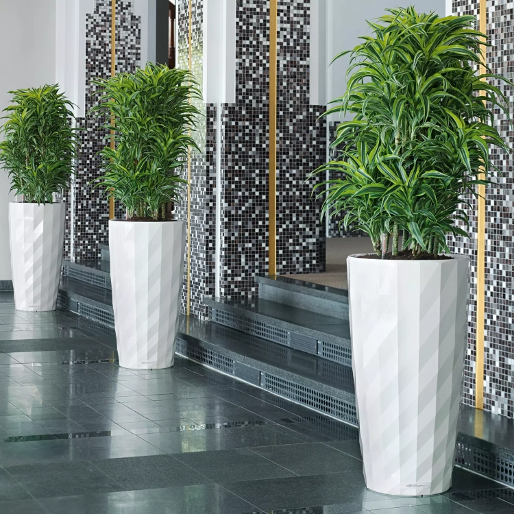 DIAMANTE Premium 40 white high-gloss (5).webp