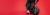 pet2.jpeg