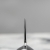 stThumbnailPlugin (9).jpg
