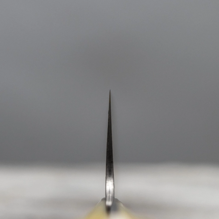 big_gyuto-24-cm-takeshi-saji-colored-damascus-vg-10-nashiji00002.jpeg