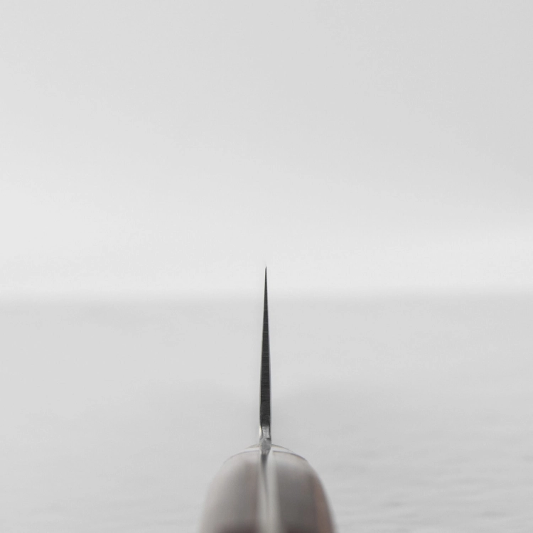 stThumbnailPlugin (5).jpg