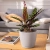 4.webp