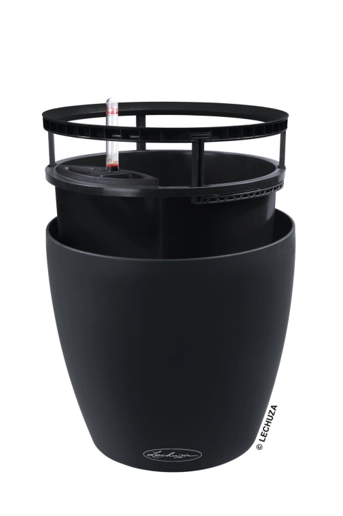 1b.jpg