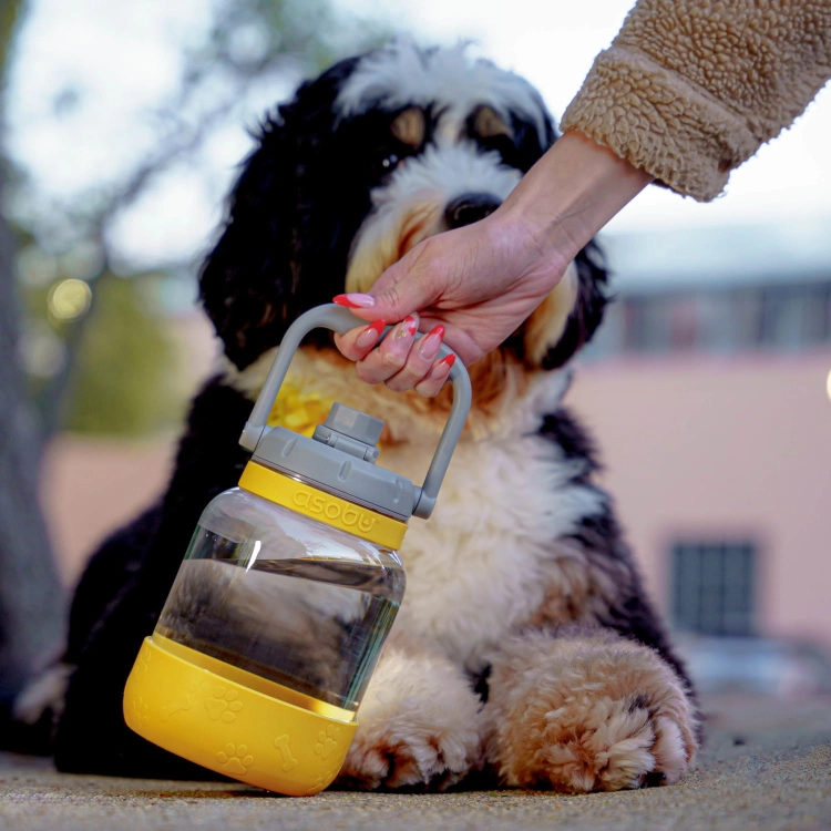 AS-TWB21_MUSTARD_P11.jpg