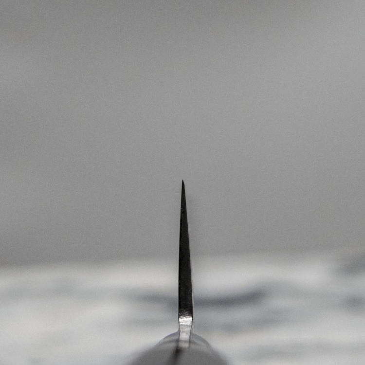 big_satake-damascus-noz-szefa-kuchni-20-cm00001.jpg