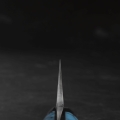 7.jpeg