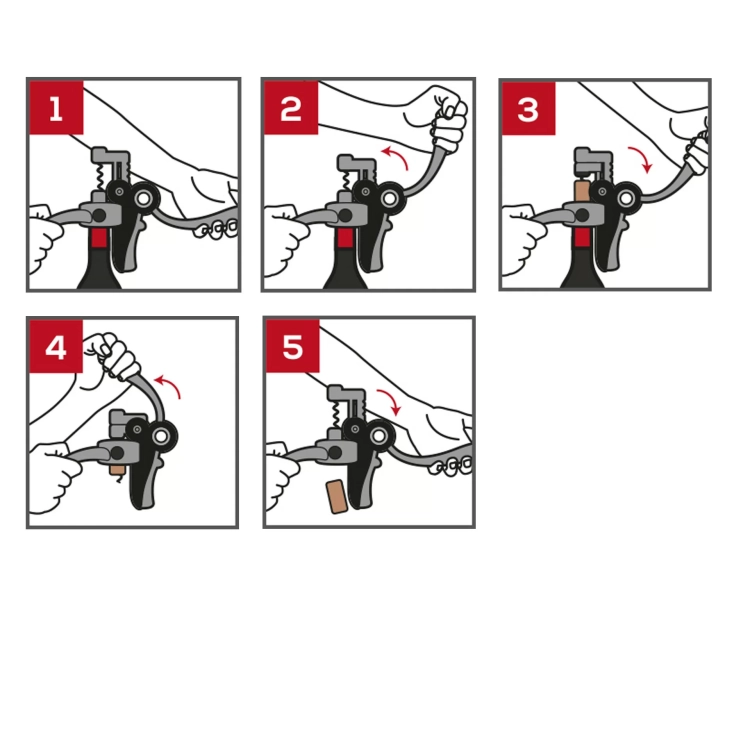 5.webp