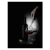 pg-245078_a.webp