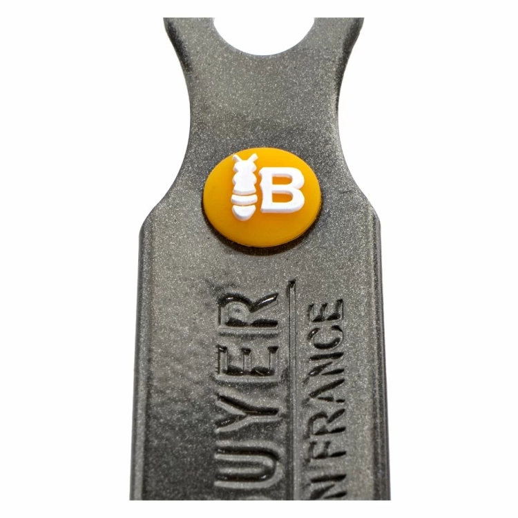 3.webp