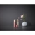 6.webp