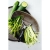 4.webp