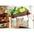 9.webp