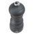 pg-44398_2_1.webp