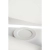 7.webp