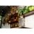 8.webp