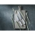 5a.webp