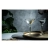 1b.webp