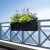 3a.webp