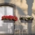3c.webp