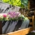 3d.webp
