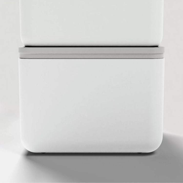 5.webp