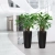 1c.webp