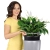 3.webp