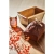 7.webp