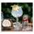 1a.webp